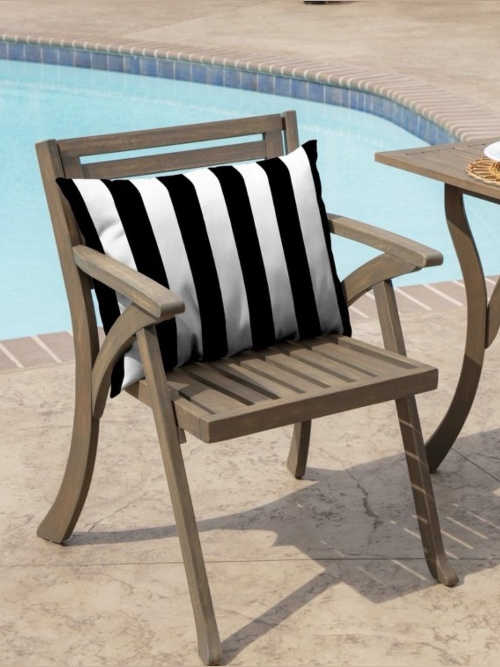 Arden Outdoor Cushion Pillow Back, 23 X 17 Black Cabana Stripe (Set of 2)